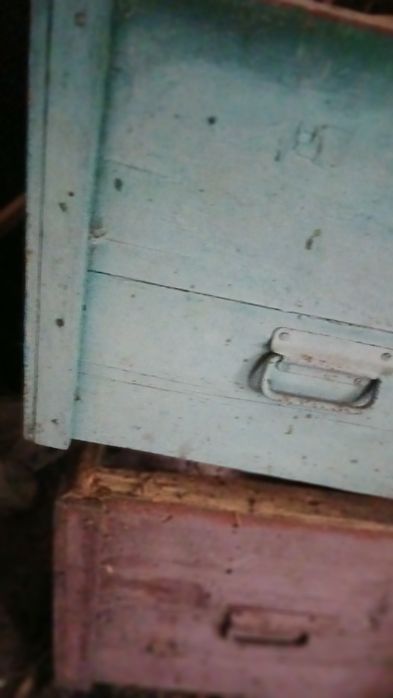 Вулики великі для бджіл