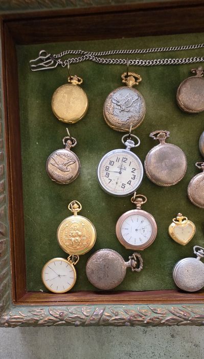 Coleção de relógios de bolso com expositor de madeira