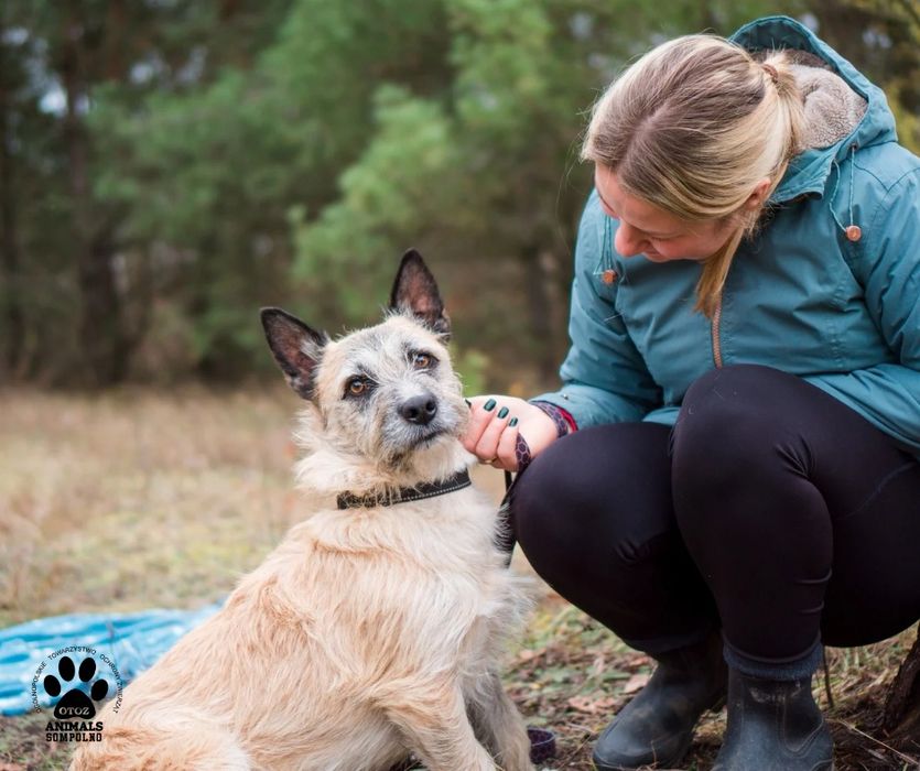 2 letni Artem szuka domu!