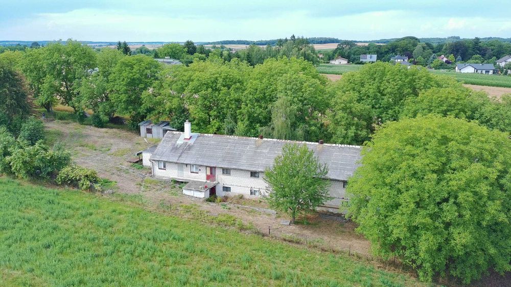 Budynek gospodarczy 1000 m² | działka 32,51 ar | Roźwienica
