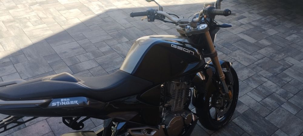 GEON stinger 250