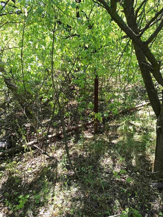 Продам ділянку дачну за Перемогою 6 над Дніпром