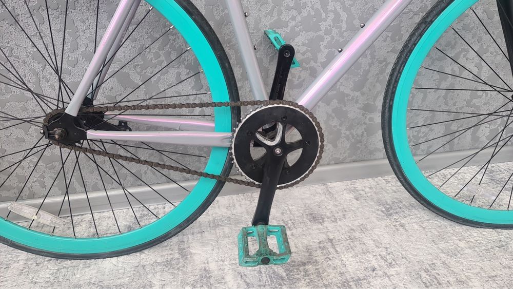 Schwinn fixed gear