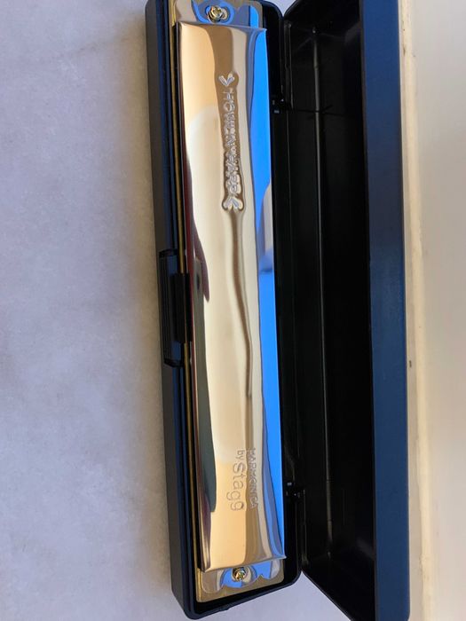 HARMONICA by Stagg Howlin Harp431740298996623364
