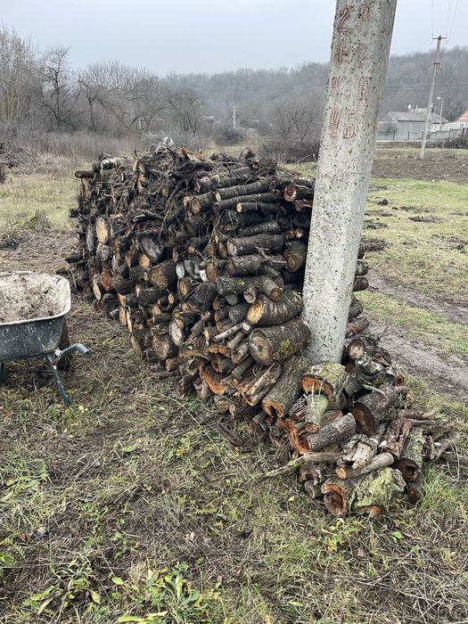 Продам дрова слива, вишня, яблуня