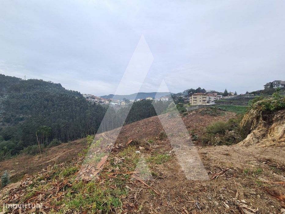 Terreno em Vale de Cambra
