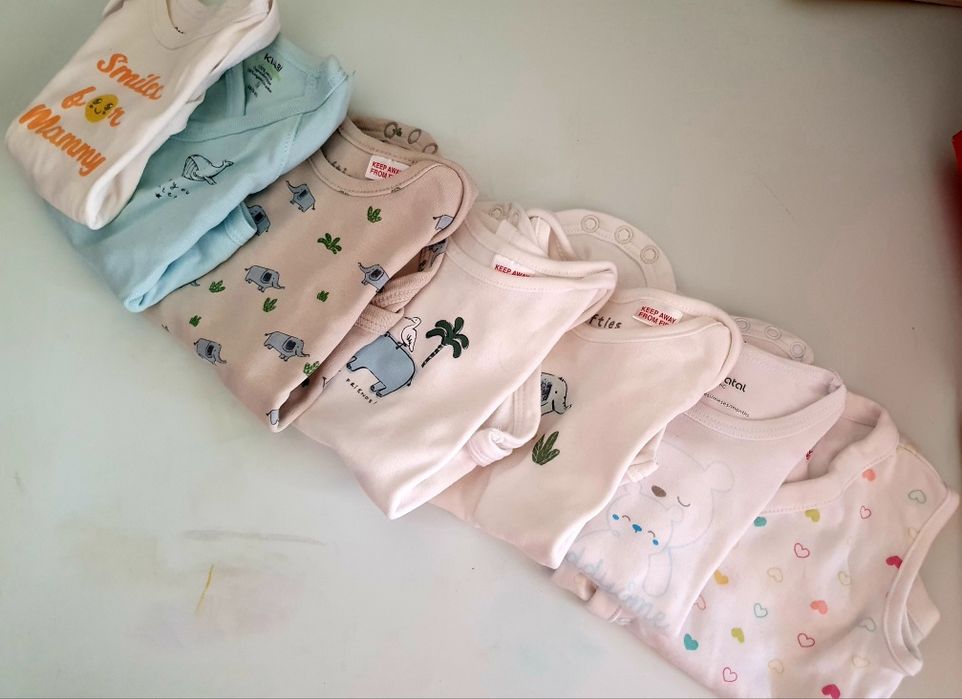 Conjunto de 7 bodies
