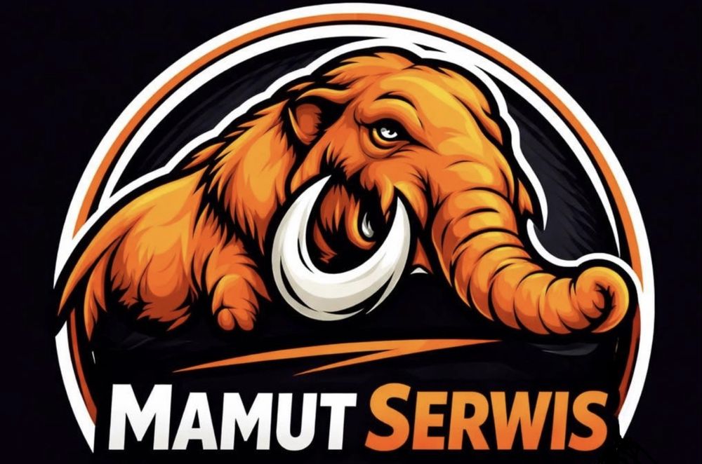Mamut Serwis 24/7 – Przeprowadzki, Rozbiórki obiektów, Transport, Opróżnianie mieszkań, Wywóz mebli, gruzu i odpadów. Szybko i solidnie!
