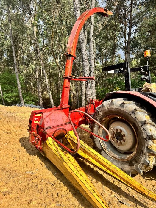 Ensiladeira de milho