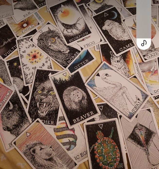 Tarot Animal Spirit baralho + guia - Kim Krans - NOVO - PORTES GRÁTIS