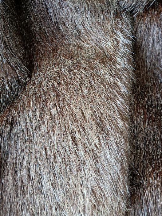 Довга шуба зі сріблястої нутрії для високої стрункої пані