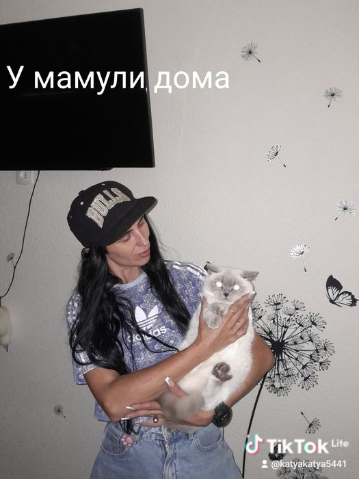 Шотландська дівчинка 1 рік