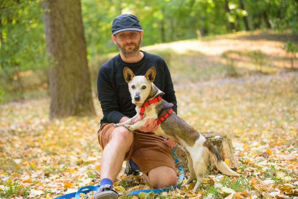 Malutka śliczna łaciata sunia Lipia szuka miłości na całe życie