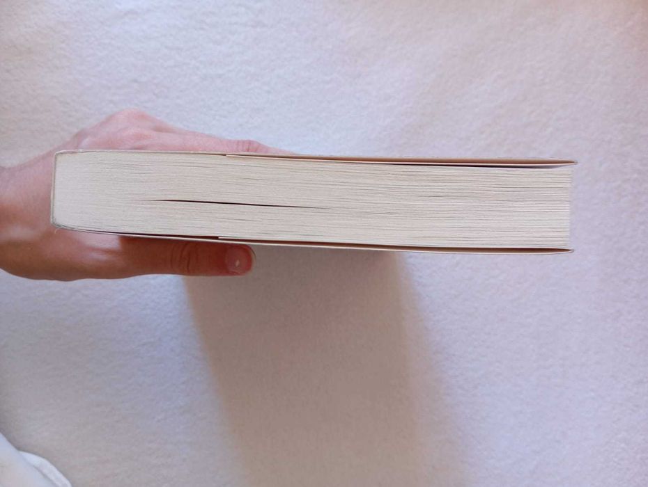 "Duas vidas num instante" de Dani Atkins