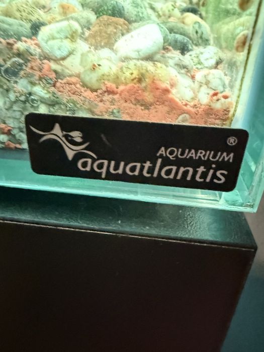 Aquario de agua quente com movel
