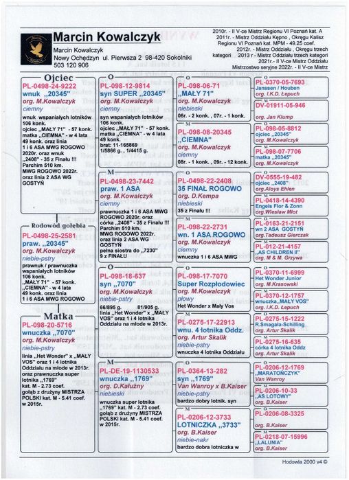 gołębie pocztowe prawnuk 20345 w 4 lata 49 konk.