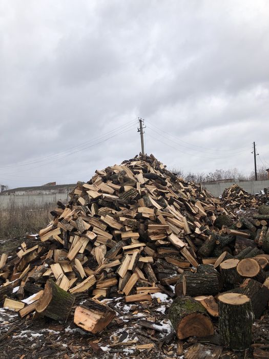 Продам дрова дуб ясень Харьков и область