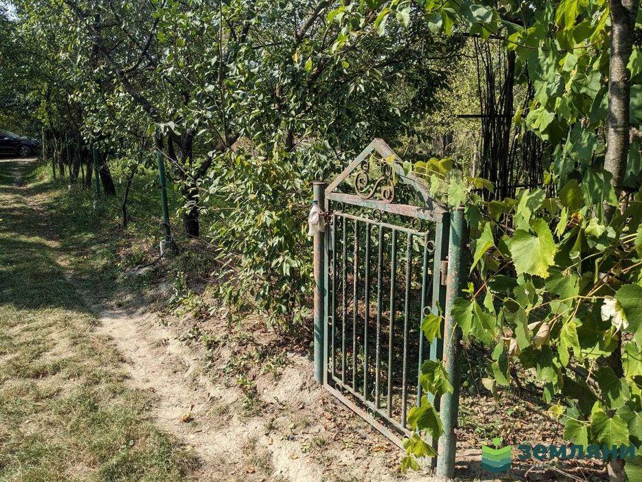 Продаж Дачі 5,01 сот в с.Вовчинець, СТ Агрохімік (5)