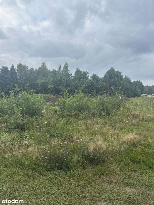 Działka budowlana w Ochli, idealna na dom