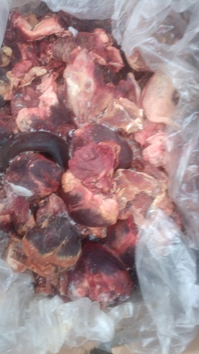 М'ясо для консервів КуркаСвининаГовядина та інше.