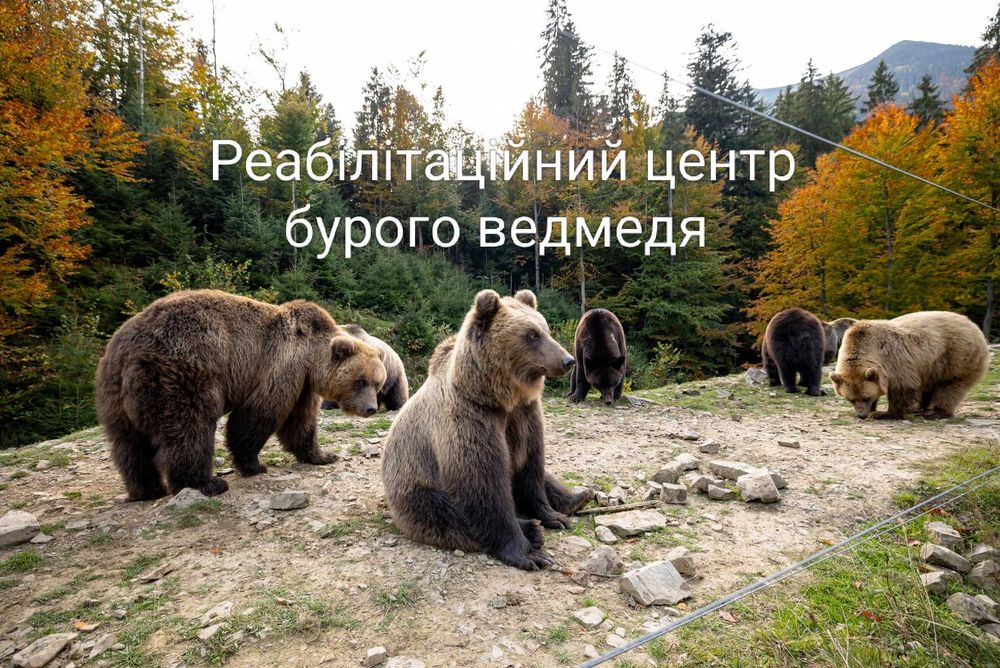 Оренда будинку "Гірська гармонія"в Ізках
