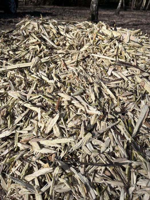 Wynajem rębak Eliet 33 KM 15 cm rozdrabniacz 750 kg kat. B karczowanie