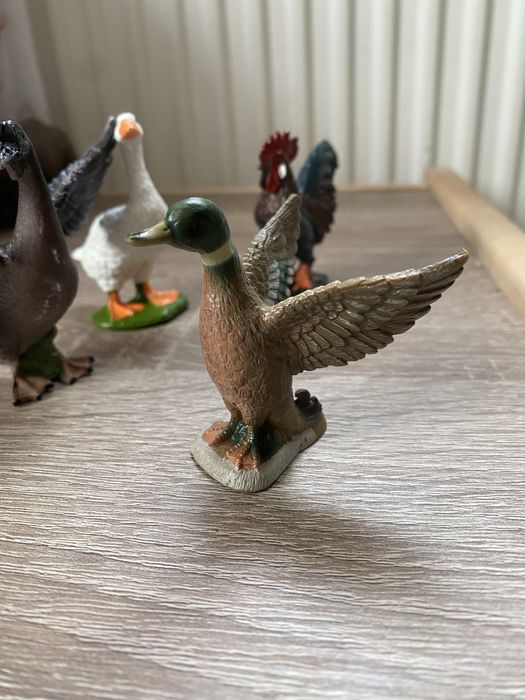 Набір розвиваючий домашні птахи