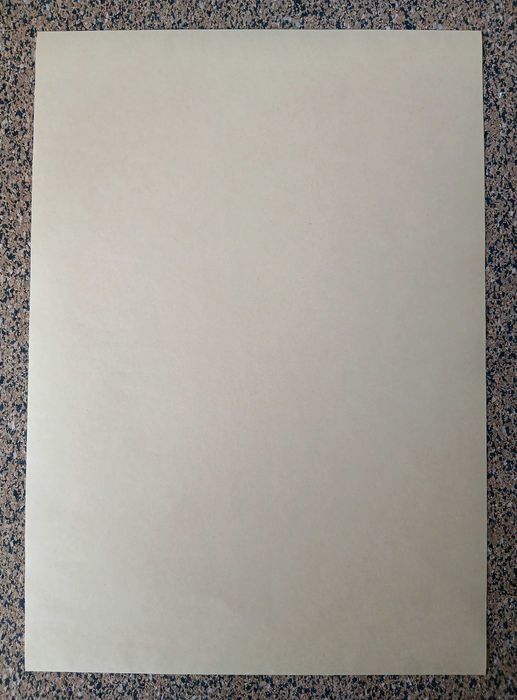 Poster - Monstros Fantásticos: Grindelwald (papel kraft, formato A3)