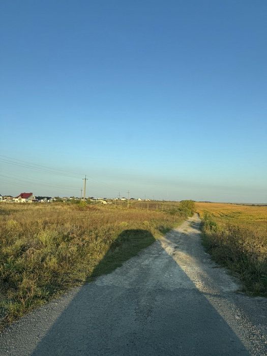 Земельна ділянка 40 сот (с.р. Білокриницька)