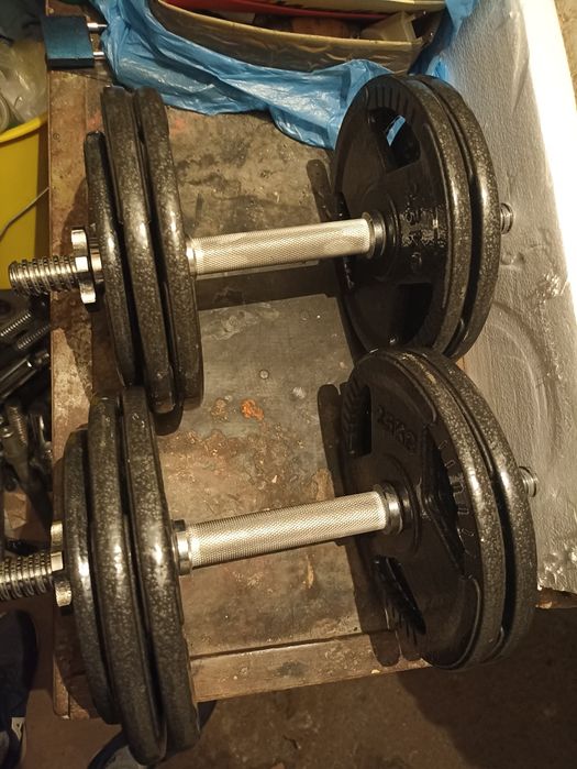 Hantle żeliwne 2x14.5 kg