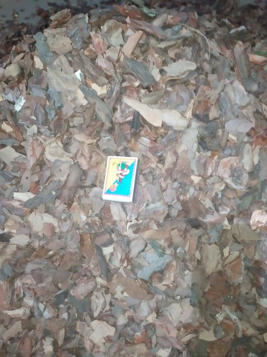 Кора соснова в Обухові