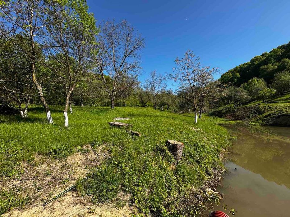 Продається дача в с. Бедевля