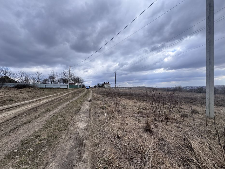 Продам земельну ділянку в Лісових Гринівцях