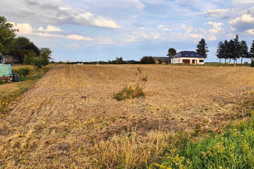 Działka Budowlana - 3288 m2 | Rossosz gm. Łęczna
