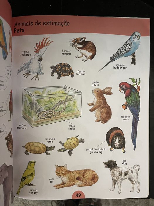 Livro de Inglês para crianças