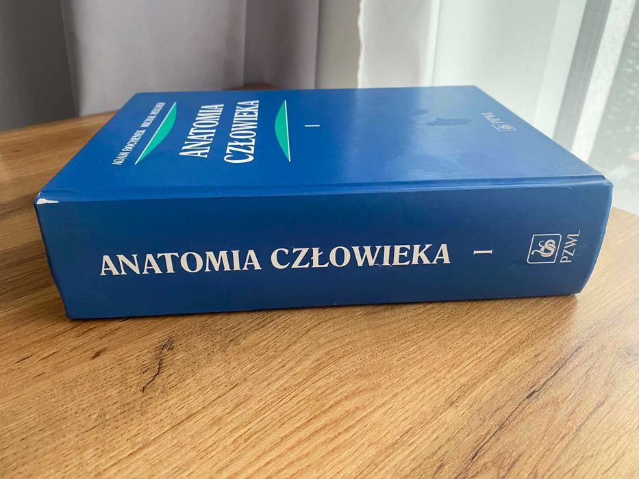 Anatomia człowieka Bochenek