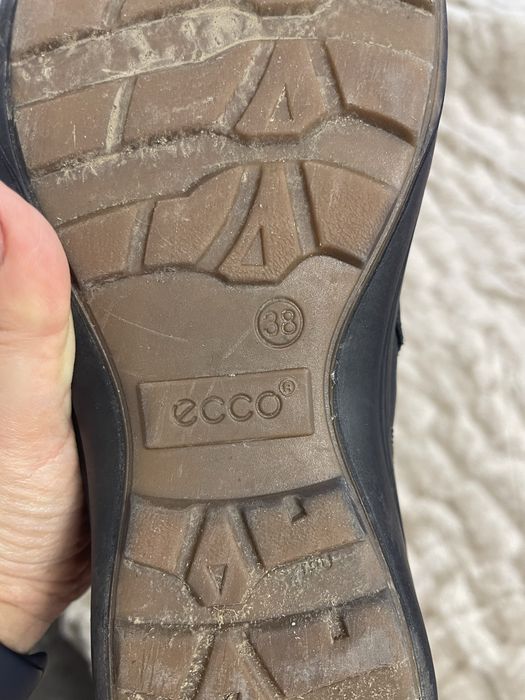 Сапоги Ecco gore tex 38 кожа