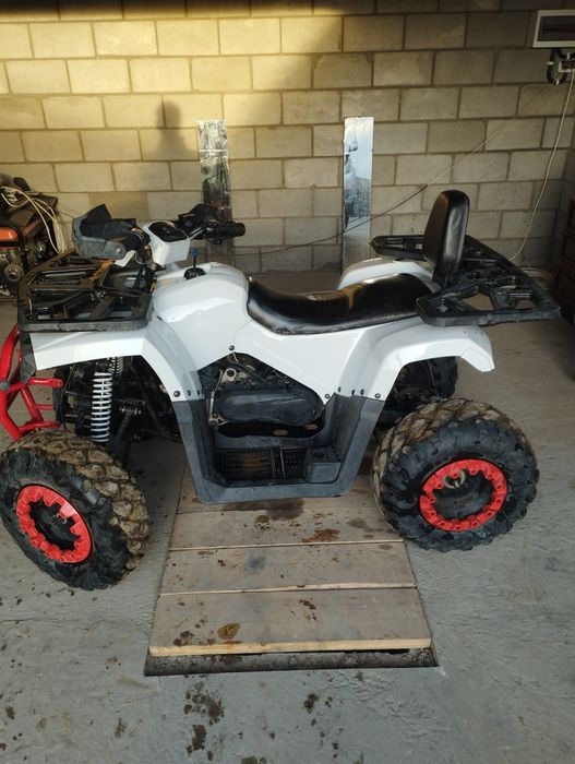 Квадроцикл Forte braves 200