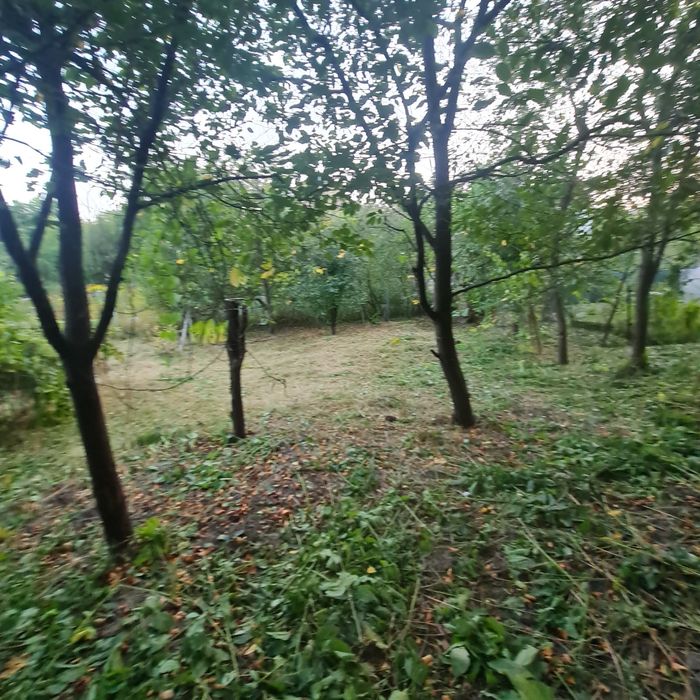 Продаж земельної ділянки з будинком Васильків