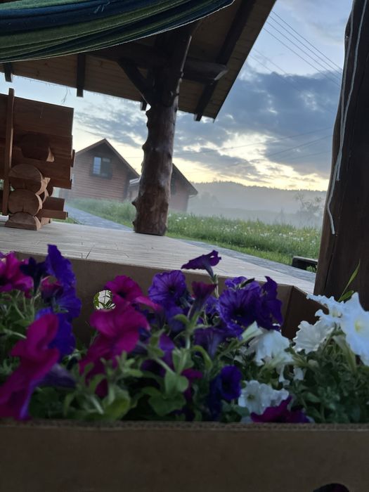 Котеджі«Затишний двір»с.Ізки,відпочинок у карпатах,оренда будинкужитла