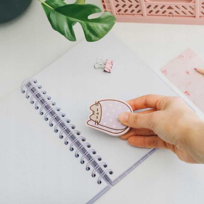 Pusheen gumki do mazania do szkoły ścierania duże puszin