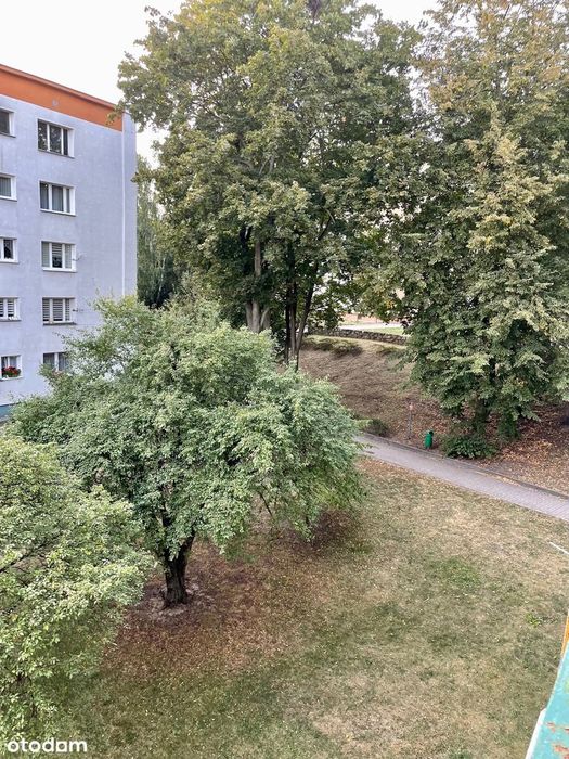 Ciche jasne 3 pokoje w centrum blisko Collegium Medicum UMK