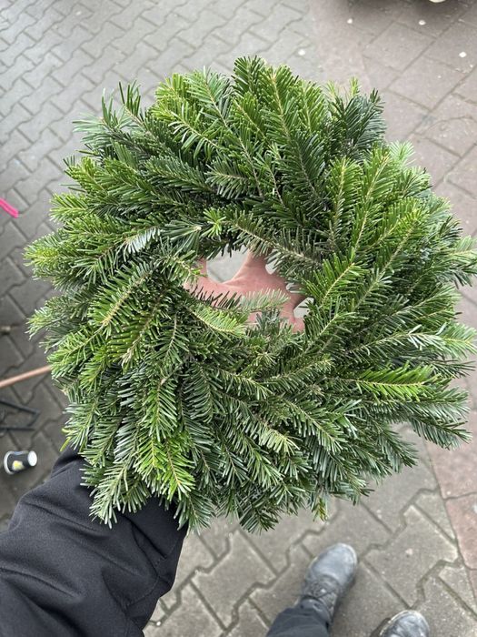 Ялинки, вінки та вмроби з хвої