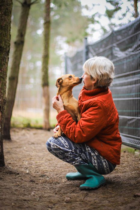 Smuti - młoda sunia w typie jamniczka filmik