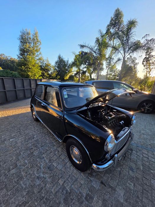 MINI 1000533468764481136642