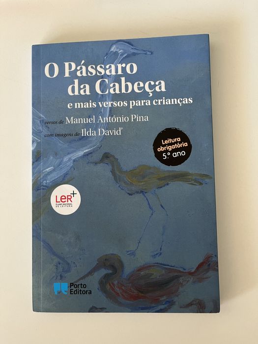 O Pássaro da Cabeça, Porto Editora
