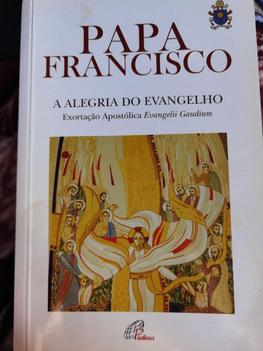 Papa Franscico A alegria de Evangelho