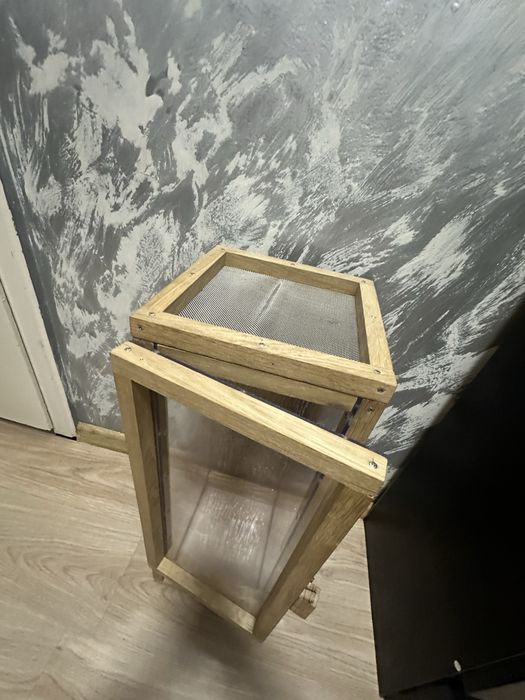 Terrarium dla owadów