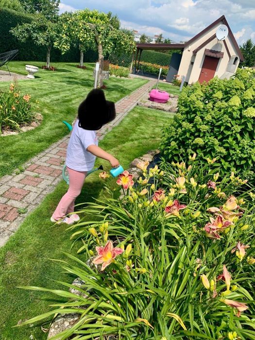 Sprzedam działkę rekreacyjną z księgą wieczystą