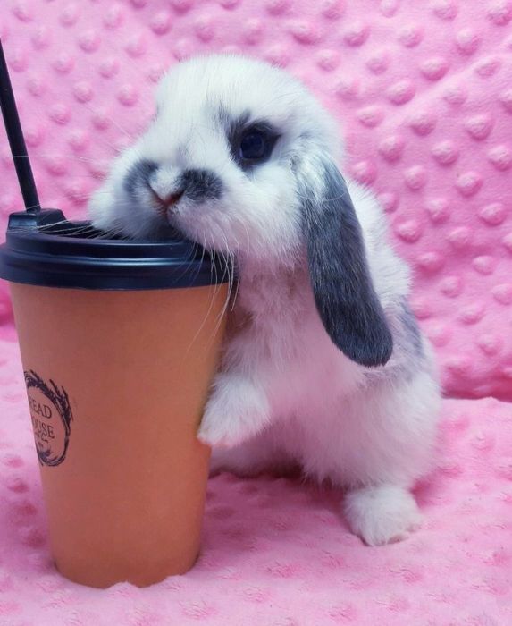 Ніжність у кожному русі!